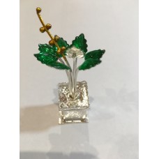 Silver Tulsi ornamental plant